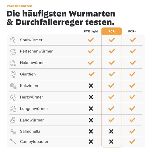 PEZZ ParaScreen PCR Wurmtest für Katzen zum Testen auf 9 häufige Wurmarten und Parasiten inkl. Giardien | Labor-Befund inkl. CT-Wert | mit gratis Labor-Versand (PCR, 1 Stück)