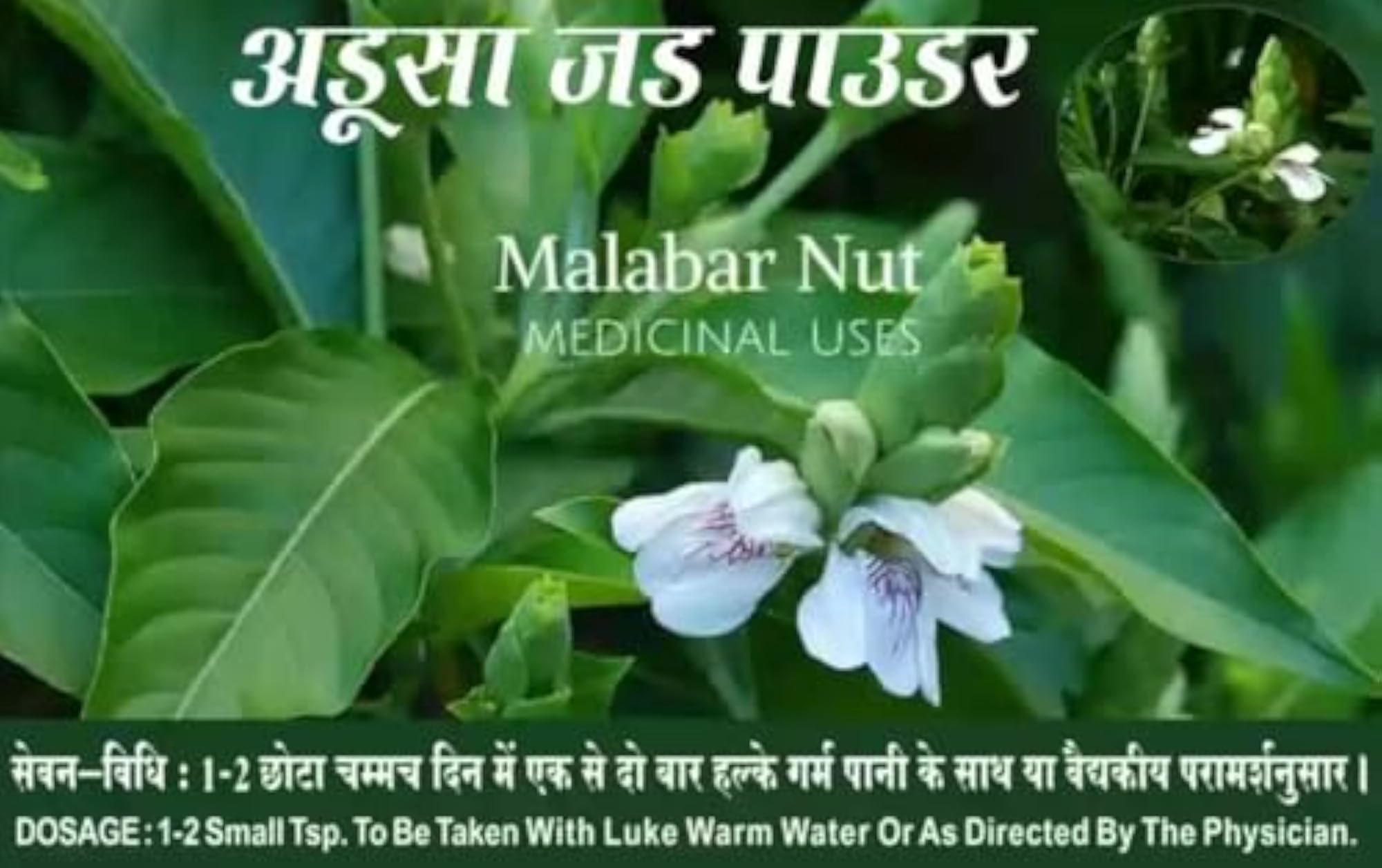 Adoosa Churna - Natural Herbal Powder
