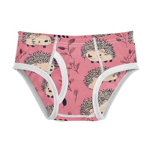 Wusikd Cute Hedgehogs Boys' Underwear Cotton Pink Boys Briefs Soft Toddler Underwear 2T