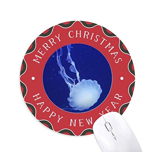 CmNQȊw͎R̎ʐ^ ~`S̃NX}X}EXpbh