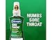 Chloraseptic Sore Throat Spray, Menthol, 6 oz