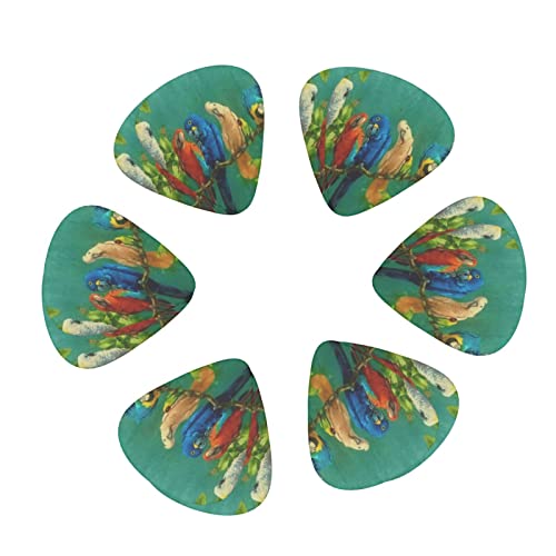 Parrots Birds Lot de 12 médiators fins moyens et lourds pour guitares acoustiques électriques - Les Beatles, Paul McCartney, John Lennon, RIngo Starr, George Harrison Parrots Birds Lot de 12 médiators fins moyens et lourds pour guitares acoustiques électriques – Image 3