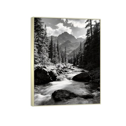 Tableau Toile Forêt Rivière 2 Noir et Blanc 30x40cm Cadre Argenté Décoration Murale