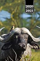Buffalo Bison Yak Gaur Week Planner Weekly Organizer Calendar 2020 / 2021 - Relaxed Bird: Cute Wildlife Animal Pet Bullet Journal Notebook Diary in 6" x 9" Inch Pocket Size 1675764573 Book Cover