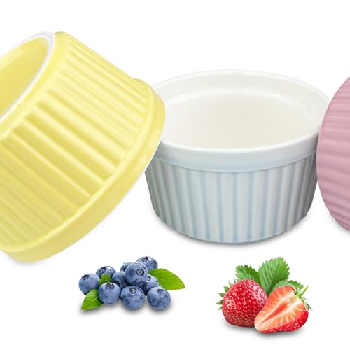 6 coupelles ramequins porcelaine pour crème brûlée