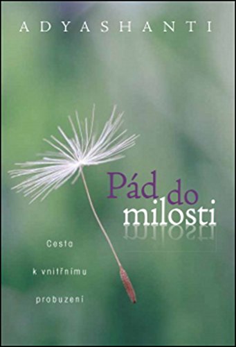 Preisvergleich Produktbild Pád do milosti: Cesta k vnitnímu probuzení (2014)