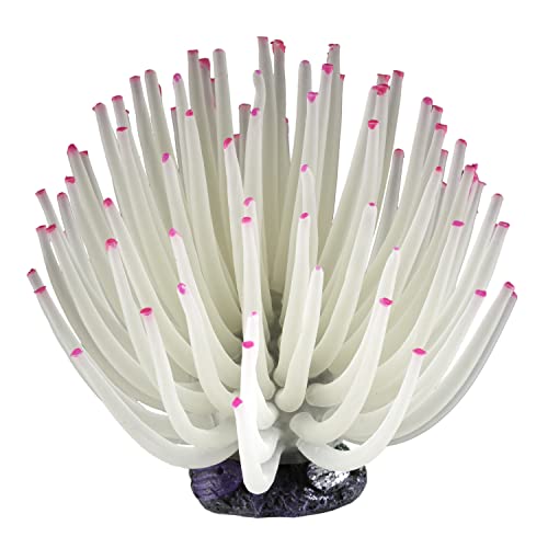 Anémona Tetra ColorFusion Coleção Blooming, decoração de aquário, combina com luz LED Tetra ColorFus