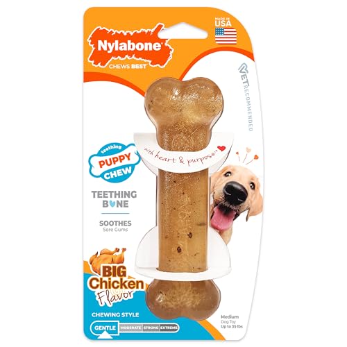 Nylabone - Puppy bone
