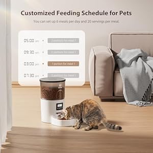 Automatic cat feeders 3l timed cat dry food dispenser dual power supply programmable portion size 1 6 meals per day auto pet feeder for cats and small dogs  urban country home decor