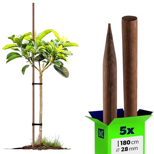 KADAX Tuteur en bois imprégné pour plantes grimpantes - Résistant aux intempéries - Tuteur pour plantes grimpantes - Tuteur de fleurs - Treillis - Piquets en bois - 5, 28 mm x 180 cm
