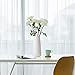 D'vine Dev 11 Inch Ceramic Flower Vase Textured Finishing, Minimalist Design for Kitchen, Bedroom, Living Room, Centerpieces, Office, Ivory, VS-XH-A-2