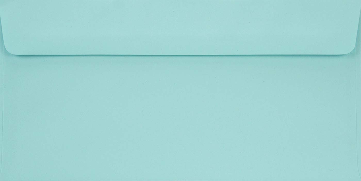 Netuno 500 Long Light Blue envelopes DL 110 x 220 mm 4.33 x 8.66 in 90gsm Burano Azzurro Invitation Envelope Elegant Colourful envelopes for Weddings Christmas Birthdays Greeting Cards Postcards โ image 1
