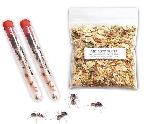 50 Live Ants for Ant Farms Plus Ant Food Included, Red Harvester Ants for Ant Habitats - Live Arrival, Shipped Now - Perfect for Educational Science Projects & Ant Habitat Experience