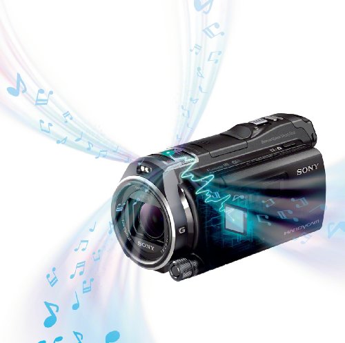 Sony HDR-PJ810 PJ-Serie Premium-Modell Camcorder (Full HD, 24,5 Megapixel, Sony G-Optik mit 12 fach Zoom, HDMI) schwarz