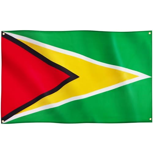 Runesol Drapeau de la Guyane, 91x152cm, 3ft x 5ft, 4 Anneaux, œillet dans chaque coin, Drapeaux Premium, Intérieur, Extérieur