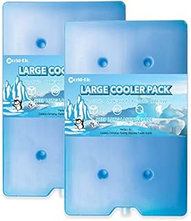 World-Bio Cold Ice Blocks Freezer Pack 2 pcs, Ice Packs for Cooler, Cool Box - Large Reusable Refreezable Freezer Blocks - Quick Freeze & Long-Lasting - Camping, Picnic, Hiking,Travel