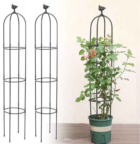 2 Pièces Treillis de Jardin pour Plantes Grimpantes, Kalolary 6 Pieds Noir Tour Jardin Obélisque Treillis Métal Antirouille Plante Pot Support Escalade pour...