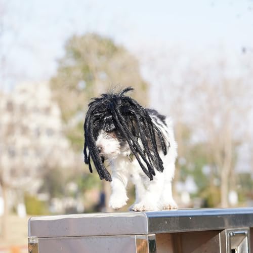 Peluca para perro y gato con extensiones negras de rizos miniatura 2