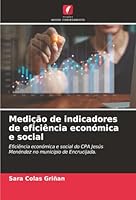 Medição de indicadores de eficiência económica e social (Portuguese Edition) 620890319X Book Cover