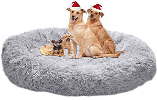 Maximum Pet Products Hundebett Wasserfest Größe XL - Violett, Robust & Kausicher, Für Aktive Hunde