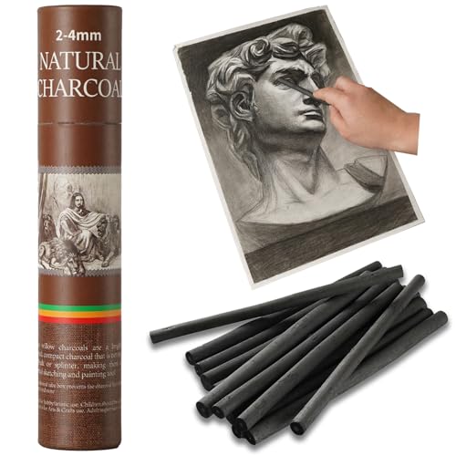 Trzzyan 25 PCS Willow Charcoal Sticks Ideal for Artists Beginners Students Perfect for Sketching Drawing Shading and Fine Art 5.7 Inches Long 2-4 4-5 5-7 7-9 (2-4)