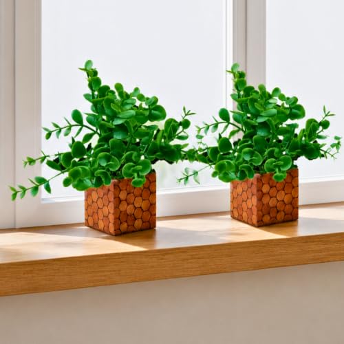 Image of DecoreBugs Artificial Eucalyptus Plant with Plastic Pot (Pack of 2) | 12 cm Height | Mini Potted Plants for Shelf Decor, Home, Office, Living Room, Desk & Table Item Decoration