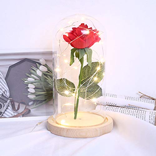 PIXNOR - flores de rosa de A Bela e a Fera, dura para sempre em redoma de vidro com luzes LED USB, m