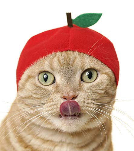 image for Kitan Club Cat Cap - Pet Hat Blind Box Includes 1 of 6 Cute Styles - S