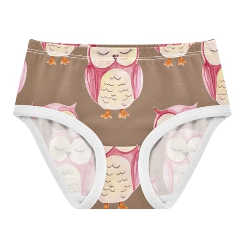 Girls Underwear Toddlers 2t Cotton Cute Panties Girl Durable Briefs Underpants Cute Watercolor Owls Eyes Brown