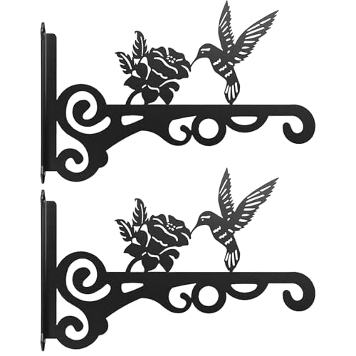 Generisch Plant Hanger Interior, Iron Heavy Duty Wall Mount Plant Hooks, Shelf Brackets for Railing, Window, Patio, Fence, Hummingbird Feeder, Porch, Garden Decor 9.84x5.91 inches