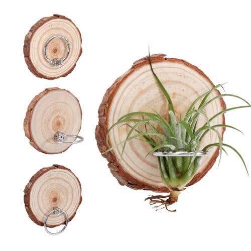 Poefditev Magnetic Air Plant Holder, Natural Wood Slices Refrigerator Magnet Live Air Plant Holders, Modern Farmhouse Wall Decor for Living Room Bedroom Kitchen Office Home Garden (3 Pack)