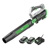 AIPER SMART Leaf Blower, 335CFM 20V Cordless Blower with 2 x 2.0Ah Lithium Batteries & Quick Charger, Lightweight & Quiet, Perfect for Deck, Driveway, Sidewalk, Yard, Snow Debris