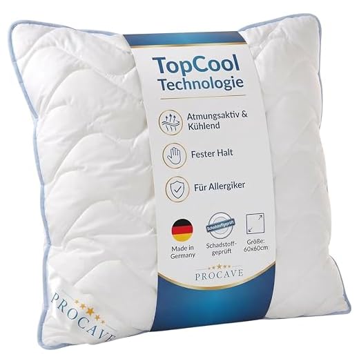 PROCAVE TopCool Kopfkissen Kochfest 60x60 cm, Qualitäts-Stepp-Kissen, atmungsaktives Allergiker Kissen, Winter- und Sommer-Kissen 100% aus Deutschland