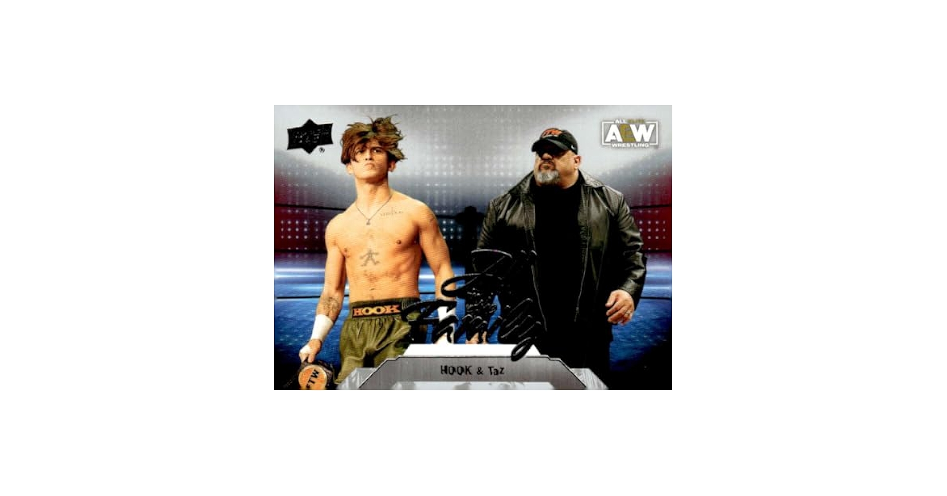 Amazon.com: 2023 Upper Deck AEW Wrestling #95 HOOK/Taz