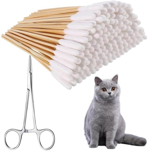 2Zbg  |  q є  50{t yb| ybg̖є L | є  OȖ_ L Ȗ_ ̃PAp