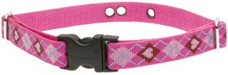 LupinePet Originals 3/4" Puppy Love 19-31" Containment Collar Strap for Extra Large Dogs