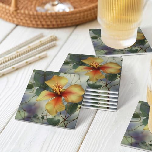 Dessous de verre eucalyptus en céramique absorbante et liège antidérapant - 8