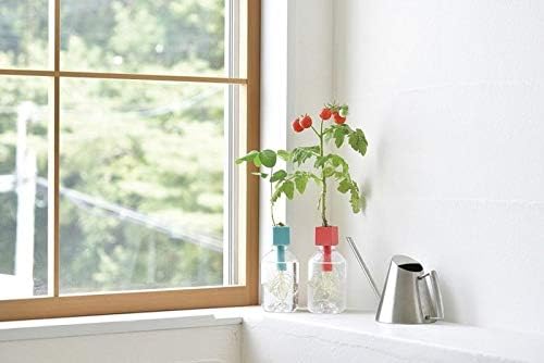 Amazon 聖新陶芸 Green Toy グリーントイ かわいいサボテン ペットボトルで育てる栽培セット 栽培キット オンライン通販