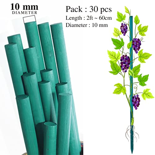 Image of BLOOMAX 2 Feet Hardwood Plant Support Sticks | Pack of 30 Durable Wooden Garden Stakes | Includes Free Twist Ties | Eco-Friendly Support for Small Potted Plants, Herbs & Flowers