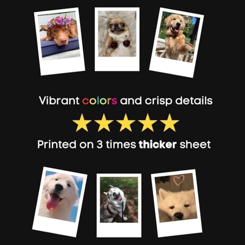 Image of Cute Dog & Puppy Poster Polaroids | Dog Memes Mini Posters Kit (Set of 15) | Dog PFPs Collage Kit Polaroids Sized (8 x 6 cm) Posters for Phone Accessories, Bedroom, Office, Living room (Dog Memes)