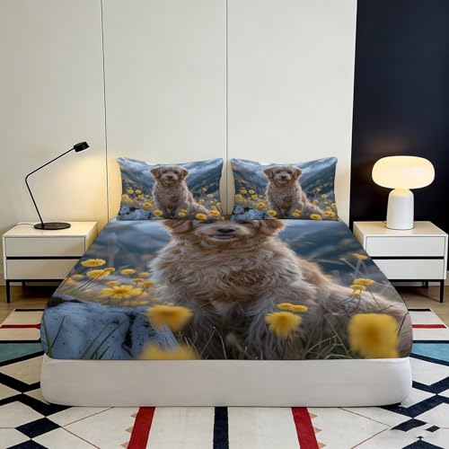 Drap housse Golden Retriever 90x200 cm : idée cadeau originale lit