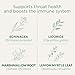 Organic Throat Coat, Lemon Echinacea, Caffeine Free, 16 Wrapped Tea Bags, 1.13 oz (32 g)