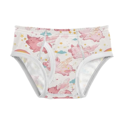 Wusikd Pink Piglets Wings Boys' Underwear Cotton Flying Clouds Boys Briefs Soft Toddler Underwear 2T