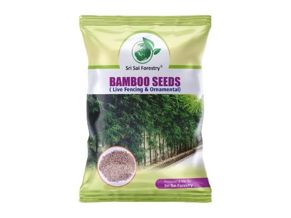 SRI SAI FORESTRY Bamboo Seeds for Planting, Home Garden and Live Fencing, Lucky Male Bamboo - Pack of 50 to 80 Seed (B0CR1DTPR5) Amazon Price History, Amazon Price Tracker