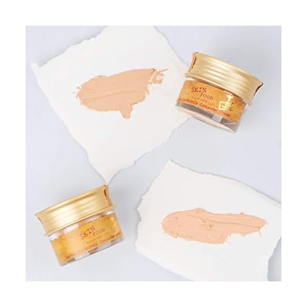 SKINFOOD-Salmon-Dark-Circle-Concealer-Cream-1-Concealer-for-Dark-Circles-Under-Eye-Concealer-for-Dark-Spots-and-Wrinkles-Full-Coverage-Under-Eye-Concealer-035-Oz10-g-Salmon-Blooming SKINFOOD Salmon Dark Circle Concealer Cream #1 - Concealer for Dark Circles - Under Eye Concealer for Dark Spots and Wrinkles - Full Coverage Under Eye Concealer - 0.35 Oz/10 g (Salmon Blooming)
