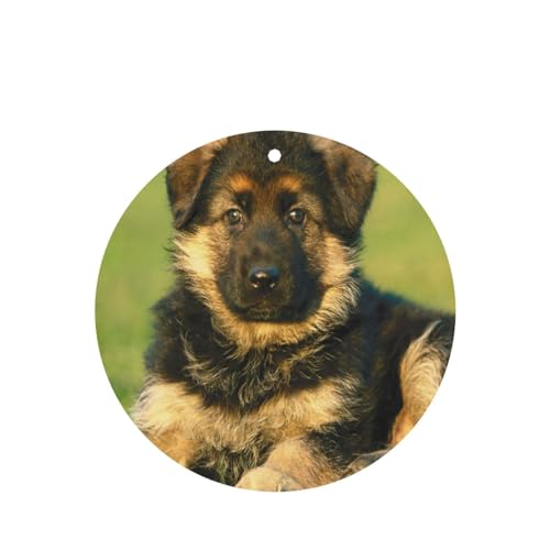 吊り下げ式車用芳香剤カード 2枚パック - 長持ちする吊り下げ式アロマセラピーカード (ラベンダーの香り) 車、自宅の寝室、ワードローブ、靴箱などに最適。男女兼用 (犬に優しいふわふわのジャーマンシェパードの子犬が芝生の草の緑に横たわっています)