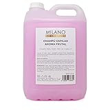 Shampoo Profesional, gran formato 5000ml, para mantener sano todo tipo de cabello, de cualquier color, densidad, volumen o estilo, sea cabello de color o blanco, cano o gris, con mechas, decolorado, rizado o liso. Hidrata y limpia sin ceras.