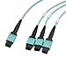 L-COM - MPF24-MPF308OM4Z-1 - Fibre Cord, MPO Jack-MPO Jack, MM, 1M