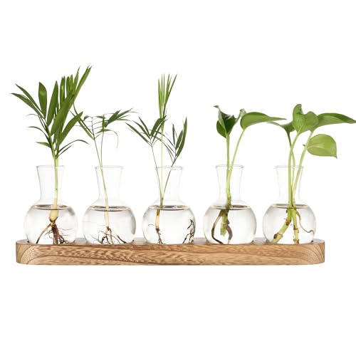 Everkeen Propagation Stations with Vintage Wooden Pallet Bulb Tabletop Glass Vase for Propagating Hydroponic Living Room Office Garden Festival Decoration for Family and Friends
