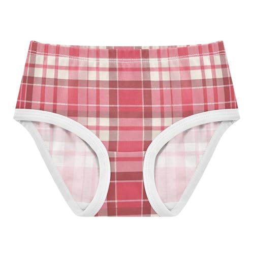 Girls' Underwear Soft Touch Comfort Underwear for Kid Pink Plaid Pattern in Sizes 2T,3T, 4T, 5T, 6Y and 8Y